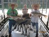 (07/10/2017) - Nice Striped Bass